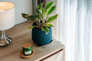 2 BR Apt in Diamond Resort Phuket - B510 - 2