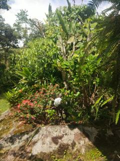 Pedacito de Cielo - 5