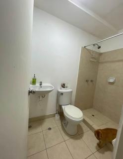 Acogedora habitación - 1