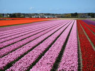 Holiday Home in Noordwijkerhout by Lake - 1