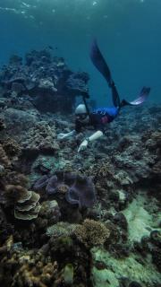 Kantil Dive Resort - 8