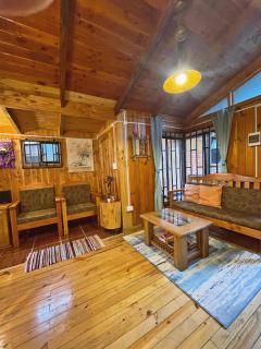 Refugio araucano - Lican Ray - 3