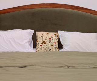 Akása Homes by Cosmic Kriya - 0