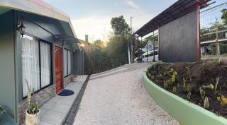 Dreams of Golden Wings - 8