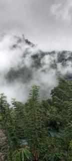 Wood Mountain Ella - 2