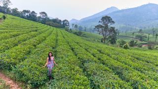 Sylora Meadows Private Pool Villa ,Vagamon - 9