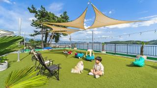 Namhae Spring, Summer, Fall, Winter Pet- - 0