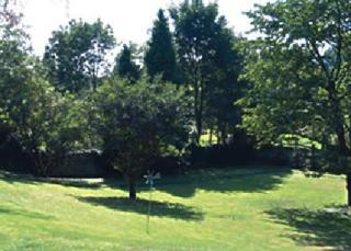 Hotel Villa Falkenberg - Düsseldorf - 3