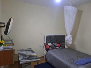 Humble Homes studio apartment Thika Town CBD access to Netflix,wifi and views - 6