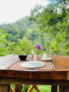 Green Vista Ella - 8