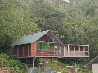 Ashokavanam Heritage Village by N Square - 3