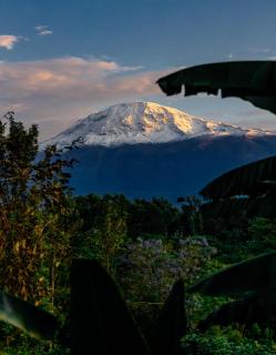 Kilimani Villa - Moshi - 6