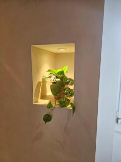 entzückende Ferienwohnung im Zentrum von Plauen - Plauen - 1