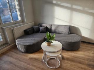 entzückende Ferienwohnung im Zentrum von Plauen - Plauen - 9