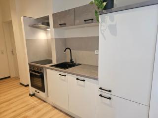 entzückende Ferienwohnung im Zentrum von Plauen - Plauen - 8