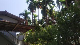 Homestay - 5