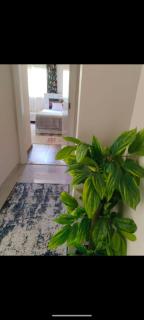 الشيخ زايد في القاهرة - 2