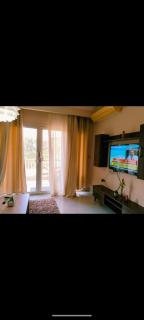 الشيخ زايد في القاهرة - 3