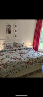 الشيخ زايد في القاهرة - 1