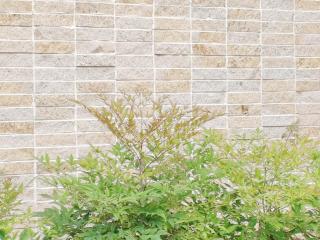 Shanghai Hills &The Poolhouse Retreat Close to Shanghai Disney Resort - 8