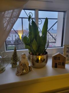 Old Town Loft Apartments - 8