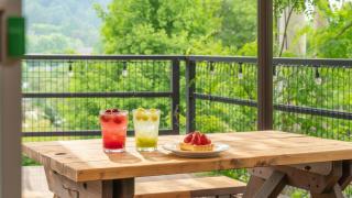 Gapyeong Yumyeongsan Gomone pet Camping - 6