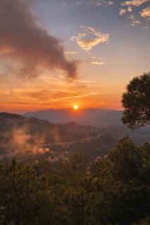 Pine Resort Kasauli # A Complete Resort away from City Hustle - 8