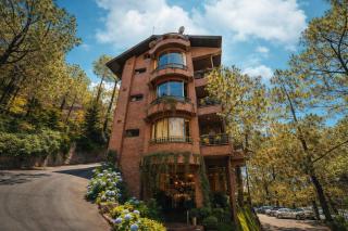 Pine Resort Kasauli # A Complete Resort away from City Hustle - 5