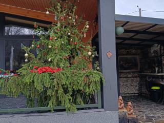 PAMJA Guest House - 5