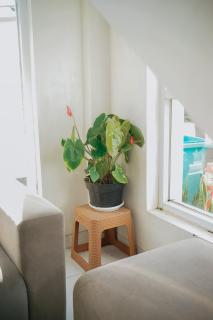 Golden House Syariah Nexura Collection - 7