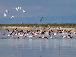 B&B Marco Polo 16 - 4