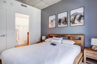 Pet-Friendly Furnished 1B Rental in Montreal with Skyline Views & Concierge - 5