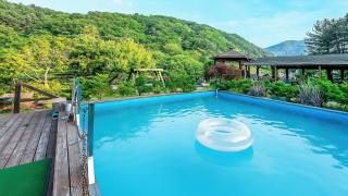 Gapyeong Swimteo Pet Pension - 2