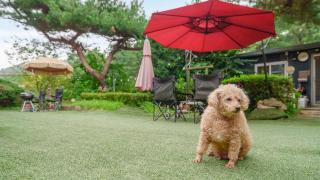 Pocheon Arumdri Pension - 6