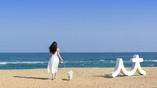 Sokcho World Pet-Friendly (Paid) Pension - 3