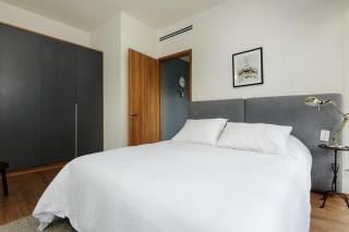 Pet friendly Furnished 1BR Rental in Mexico City - 0