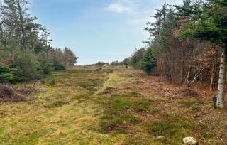 Cozy Home In Spøttrup With Sauna - 9