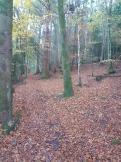 Cosy cottage with amazing views of the Galtees - 8