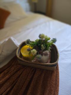 Stylish Central Walkable to Beach Main Street Candolim - 1