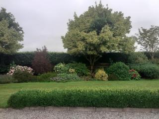 Cosy cottage with amazing views of the Galtees - 3