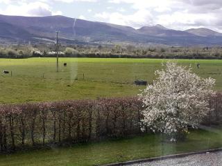 Cosy cottage with amazing views of the Galtees - 2