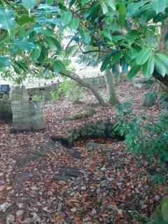 Cosy cottage with amazing views of the Galtees - 1