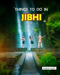 The Cedar Nook Tree House - 4