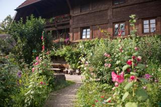 Gullerhof Ferienwohnung - Köpfle - 8