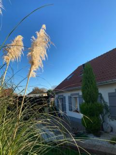 La Villa Bellerose à la Côte d'Opale - 9