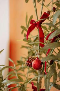 M Maison- Stay chill in District 1 - 2