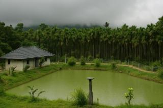 Sonemale Resort Chikmagalur - 8