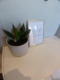 Red Hills Guesthouse - 1