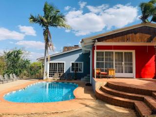 Colourful Suburban Oasis - 0