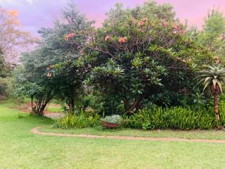 Colourful Suburban Oasis - 6